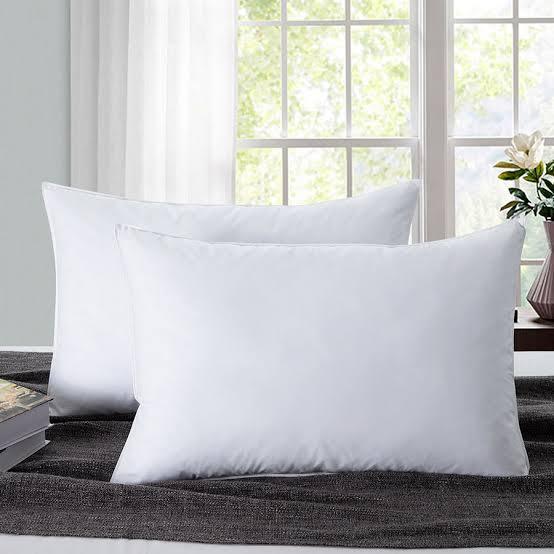 2 Pcs Filled Pillows