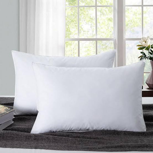 2 Pcs Filled Pillows